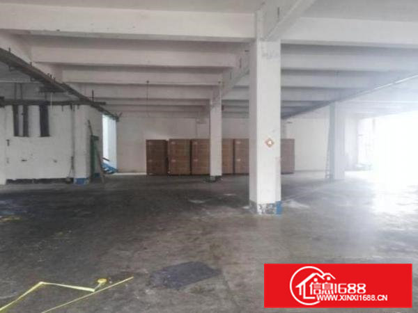 清溪渔樑围村原房东一楼标准厂房1000平米带装修出租