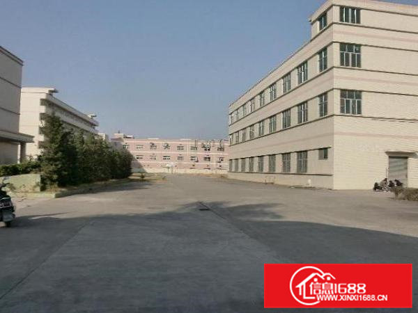 常平新出独院厂房五层6500平米