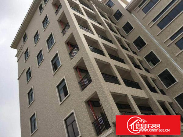 出租企石全新大型标准厂房45000平方