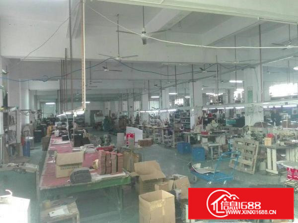 五联独院三楼业主厂房1550平米水电齐全，有电梯