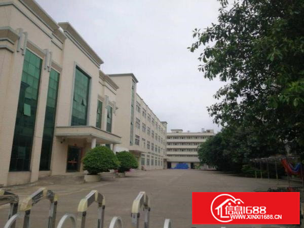 上市企业的标配，11000平出租