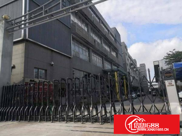 横岗六约新出原房东厂房11000平，大小分租，合同年限长