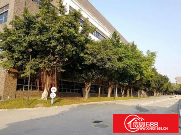 龙岗南联3万平米厂房出租200起分租原房东红本实际面积出租