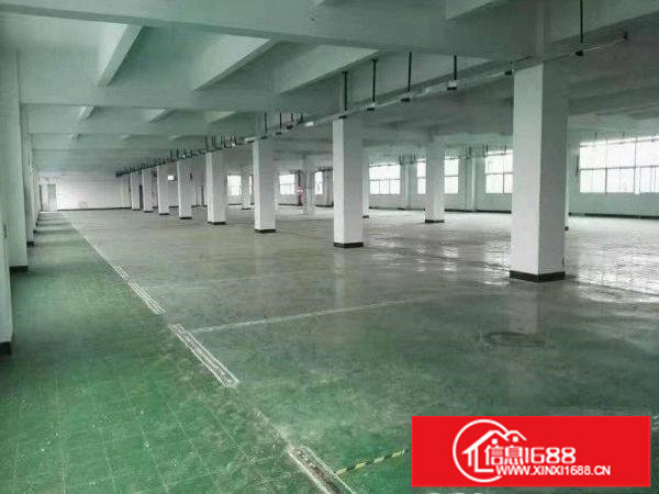 坪山新区坑梓老坑工业区原房东三楼1000平招租