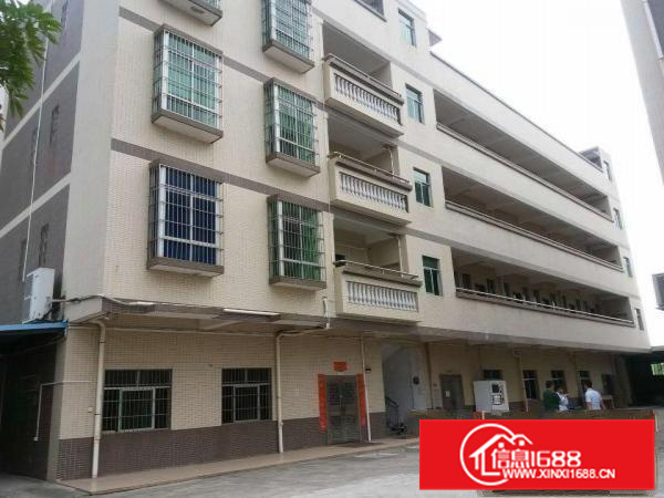 仲恺高新区潼侨原房东一.二楼标准厂房出租4000平