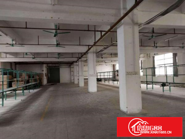 出租茶山镇原房东独院厂房