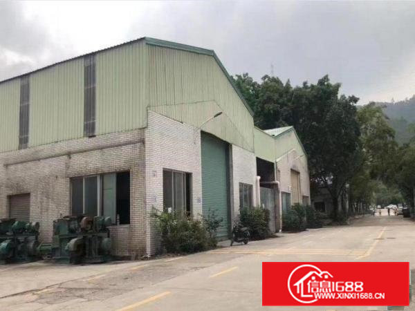 出租大朗镇犀牛陂新出单一层3200平，高度9米可分租