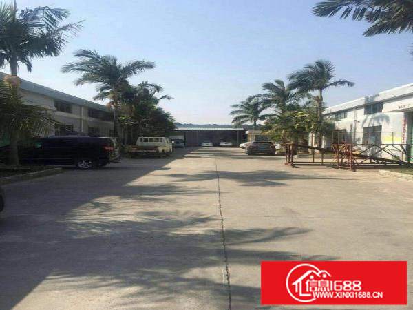 惠阳秋长新出4000平滴水8米钢结构独院厂房出租