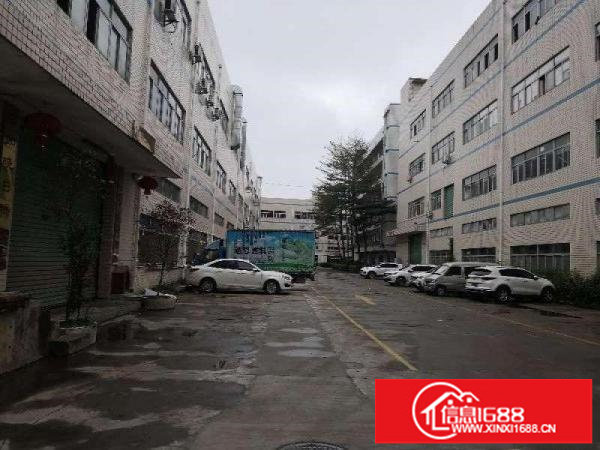 出租！坪山碧岭宇恒工业园原房东二楼1100平，带简装可分租