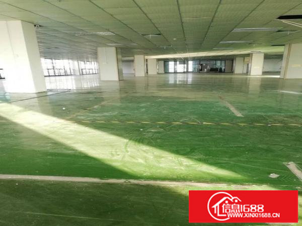 坪山大工业红本厂房出租1250平米，有前台位，形像好