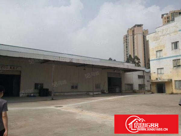 桥头镇原房东小独院砖墙到顶，带有精装豪华办公室，现成行车