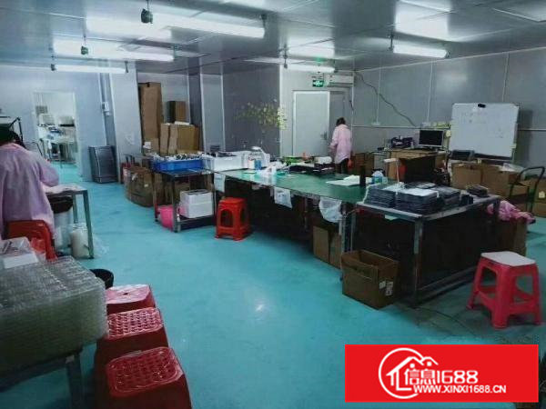 精装修，无尘车间出租，现成办公室水电，绿色地坪漆，拎包入住