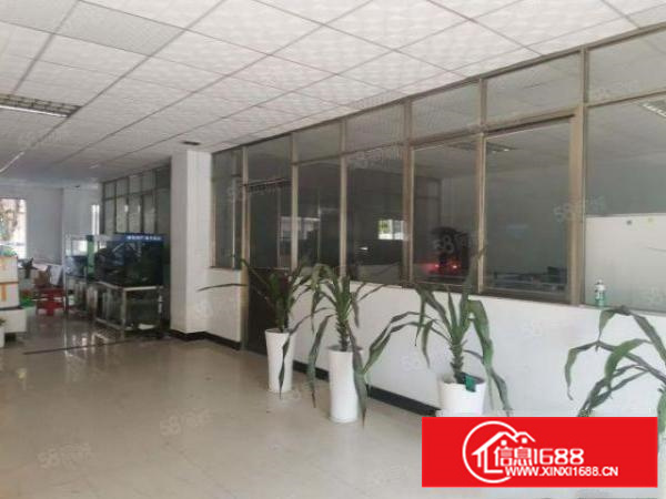 万江水蛇涌泰新路附近标准厂房分租1楼450平方