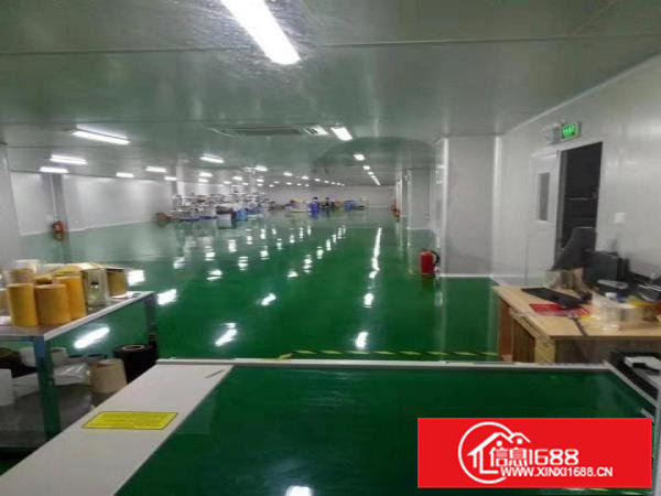 大朗原房东独院标准厂房7000平出租，地坪漆，消防喷淋，豪装