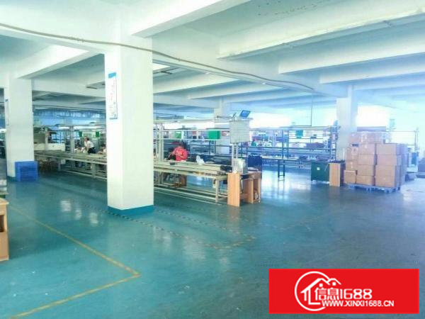 东坑东部快速路口新出独院三楼1200平有装修13块