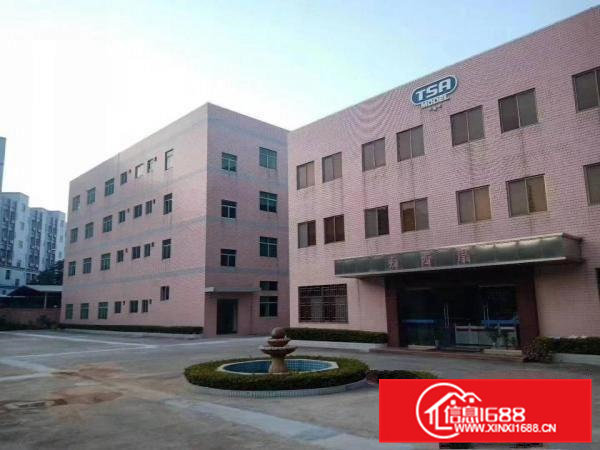 业主直租，油甘埔200平方到800平方带装修水电办公室地坪漆