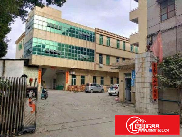 非中介大朗水平一楼500平方厂房可做机械设备五金塑胶