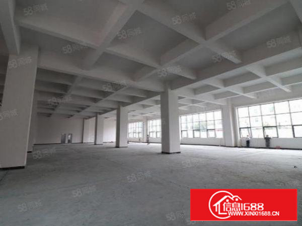 深圳沙井与东莞长安交界新安大桥附近4600平米全新厂房出租