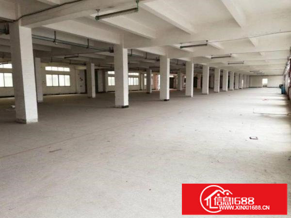 107国道边1600平米无尘车间无转让费出租