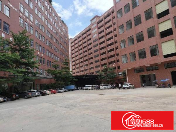 南栅新出原房东厂房2楼整层800平方带豪华办公室装修无公摊