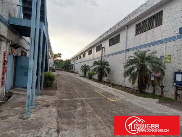 深圳坪山工业区3000平米钢结构工业厂房出租，办公室带装修