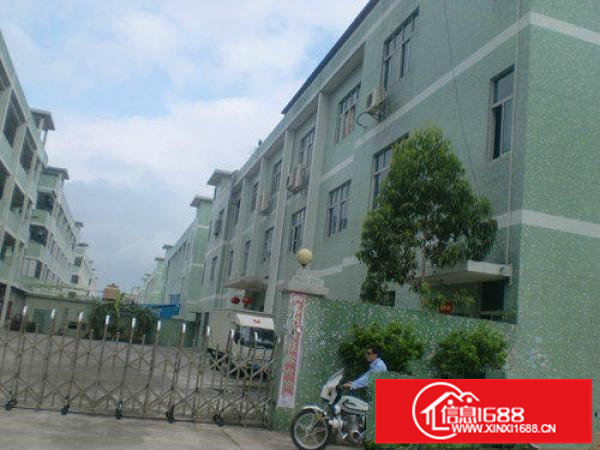 秋长1000-1500平米9元出租标准房火热进行