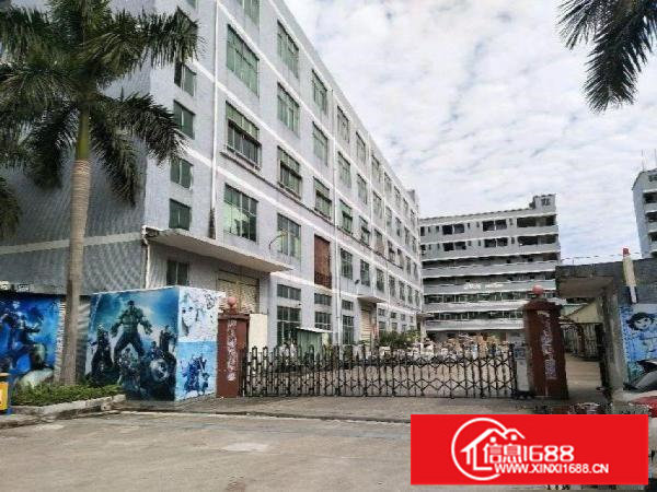 坪地坪地中心厂房1.5万平米