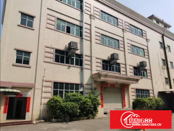 清溪镇浮岗原房东小独院厂房出租4000平方交通方便易招工