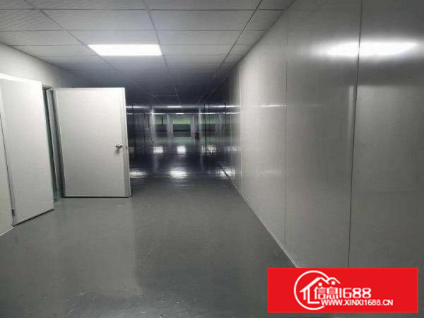 东莞楼上无尘车间无转让费厂房出租