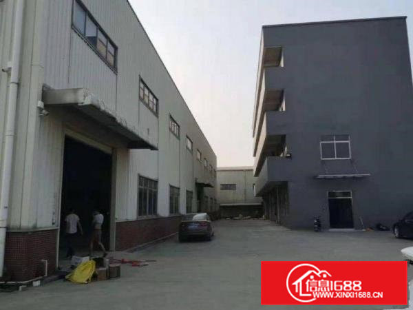 渔梁围新出全新钢结构单一层带牛角厂房300平方出租