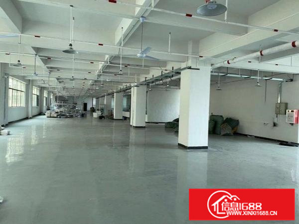 东莞大朗镇毛织中心市场附近厂房