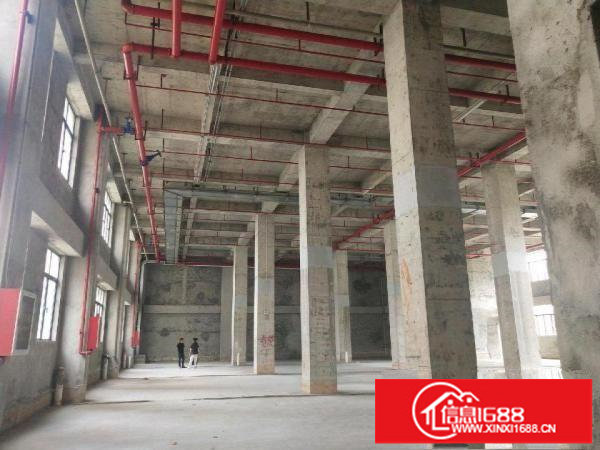 坂李大道边1426平层高8米原房东厂房出租