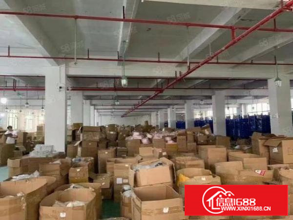 好招工塘厦沙湖楼上3000平厂房出租现成办公室装修