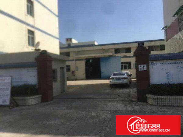 金凤凰工业区9米高带牛角钢构厂房出租面积2100平