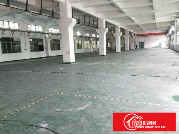 厦边一楼900平，带牛角，有地坪漆，6.5米高