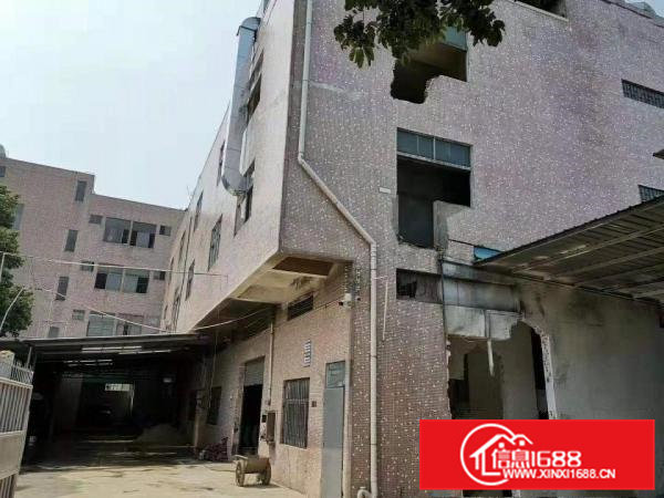 租12块大岭山镇本地人独院1500平厂房出租行业不限可分租