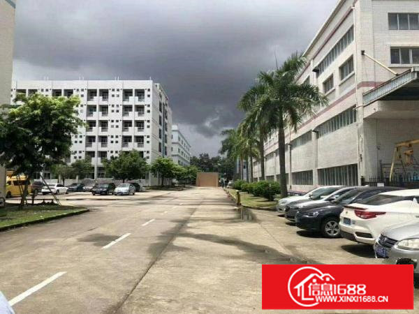 龙岗高新区原房东独院厂房出租厂房12层12000平红本面积