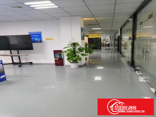 龙岗中心城龙东厂房1200平米