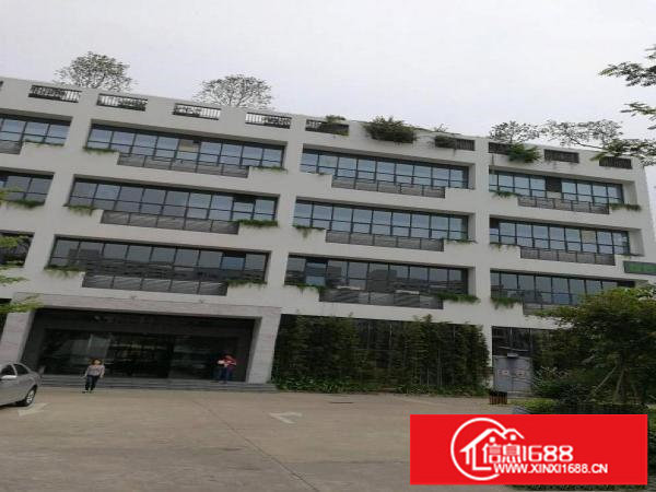 龙华新区民治独院28000平方厂房仓库招租