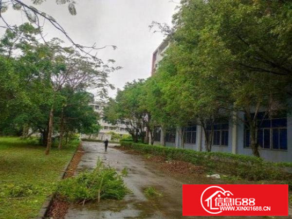 出租坪山区六联花园式园区三楼1000平方厂房招租！价格便