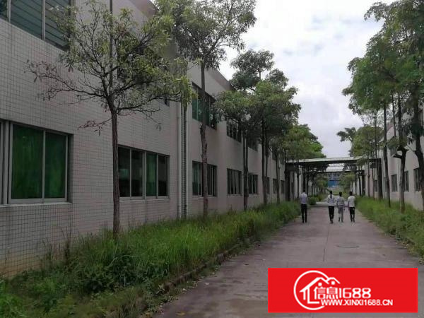 惠东白花独院钢构面积4万平，空地30000平(免费)证件齐全