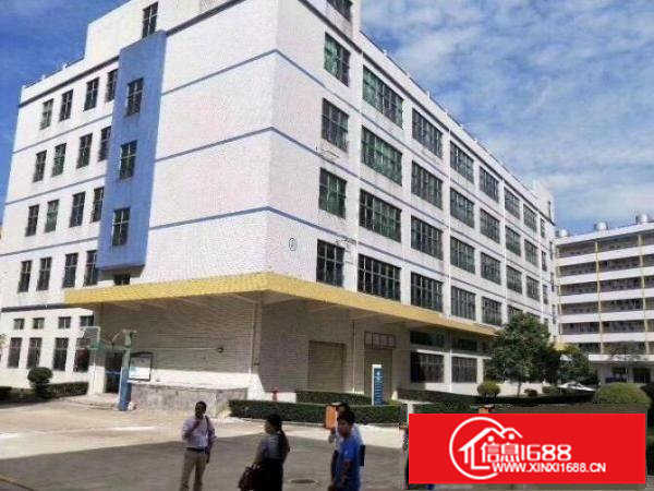 红本工业厂房出租4218平方可分租有消防送5个月免租期