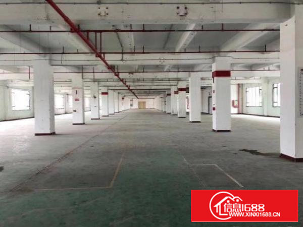 石岩高新园1800平有房补厂房出租