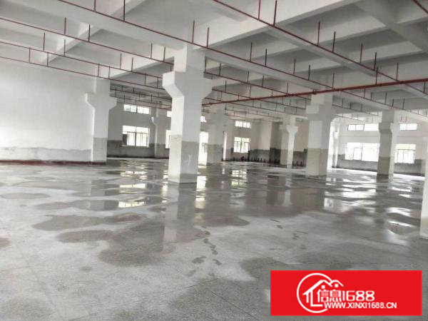 国有证全新标准厂房出租共21000平方。