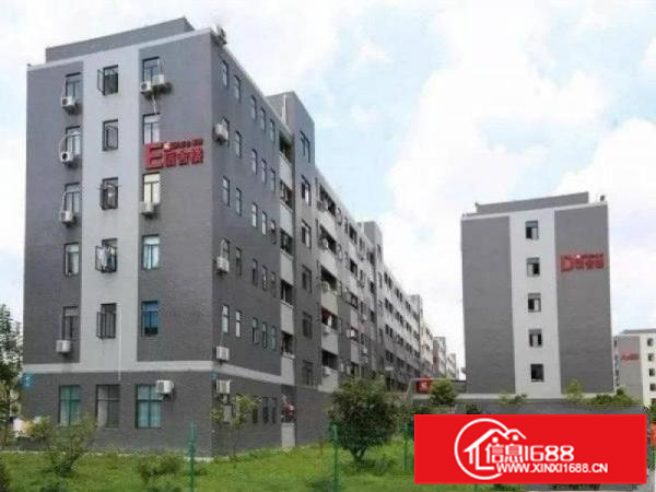 园洲标准厂房8000平，可整租可分租