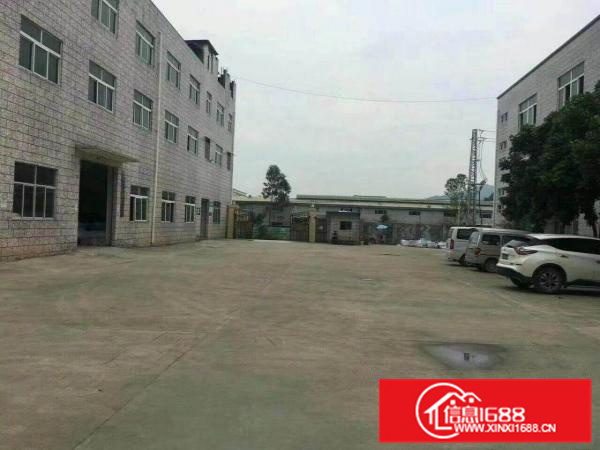 新场独院家具厂房3300平方