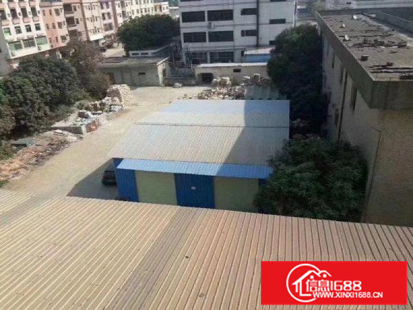 东莞市常平镇靠近大京九小独院单层厂房