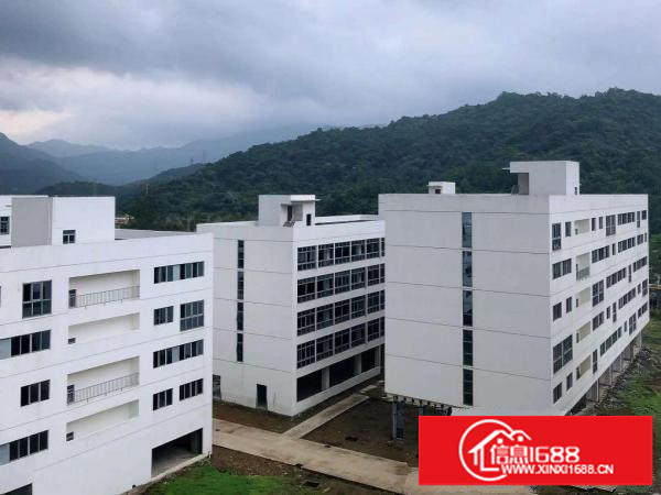 大鹏新区全鑫工业园50000平米全面招租！！