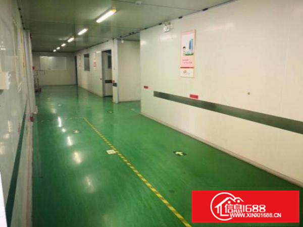 路旁新出原房东楼上整层1150平现成办公室