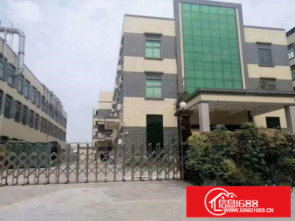 横沥镇实业客分租1800平方精装修地坪漆独院厂房实际面积招租